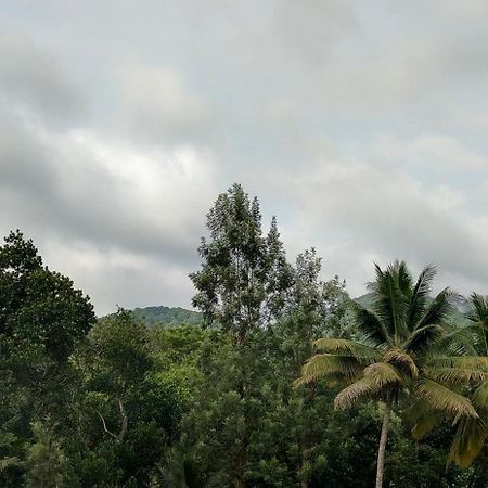 Floral Homestay Теккади Экстерьер фото