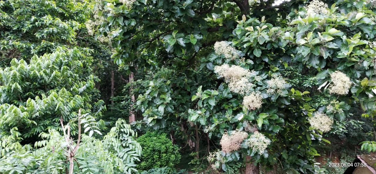 Floral Homestay Теккади Экстерьер фото